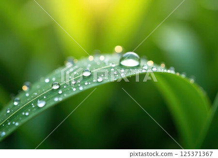 A macro photograph of a curved green leaf covered in water droplets. The image captures the delicate beauty of nature, showcasing the intricate details of the leaf's surface. A macro photograph of a curved green leaf covered in water droplets. The image captures the delicate beauty of nature, showcasing the intricate details of the leaf's surface. 125371367