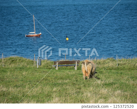 helgoland island in the german north sea helgoland island in the german north sea 125372520