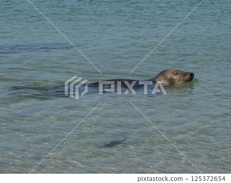 helgoland island in the german north sea 125372654