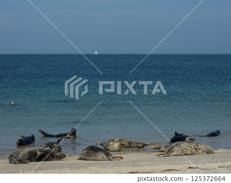 helgoland island in the german north sea 125372664