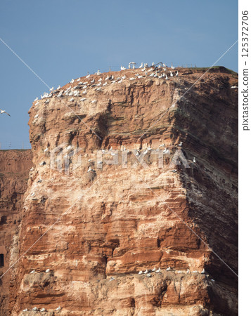 helgoland island in the german north sea helgoland island in the german north sea 125372706