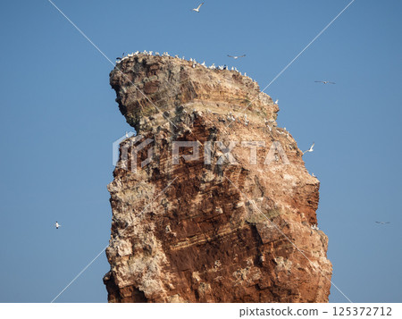 helgoland island in the german north sea helgoland island in the german north sea 125372712
