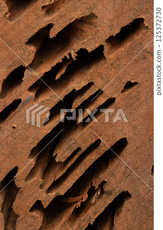 Black holes from termites Black holes from termites 125372730