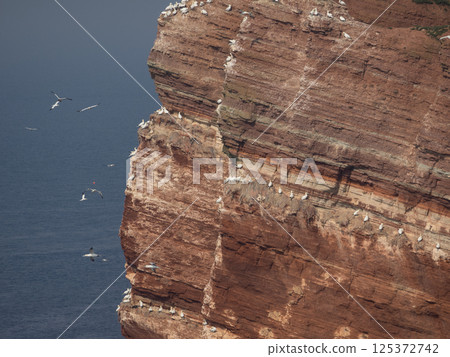 helgoland island in the german north sea 125372742