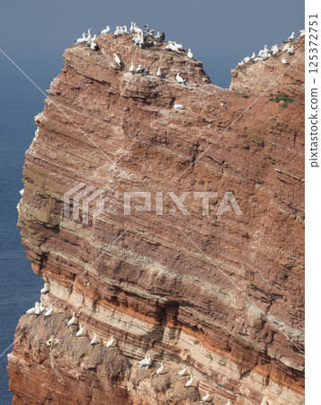 helgoland island in the german north sea 125372751