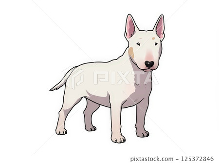 Cute cartoon Bull Terrier dog against white background 125372846