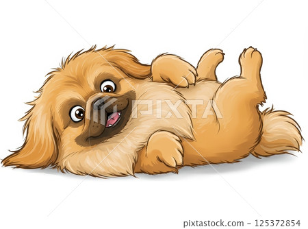 Funny cartoon Pekingese dog lying on back against white background 125372854