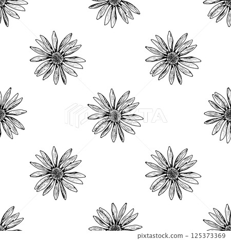 Seamless pattern with hand drawn wildflowers resembling chamomile, echinacea, and arnica. Black and white floral design perfect for packaging, textiles, and natural product branding. Seamless pattern with hand drawn wildflowers resembling chamomile, echinacea, and arnica. Black and white floral design perfect for packaging, textiles, and natural product branding. 125373369