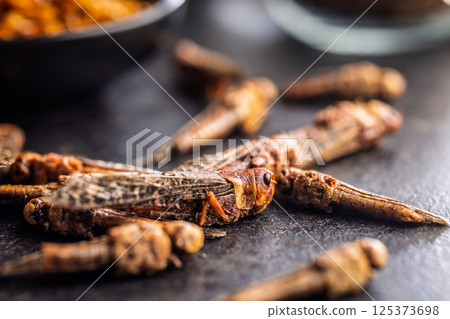 Dried salted insect. Rosted grasshoppers on black table. 125373698