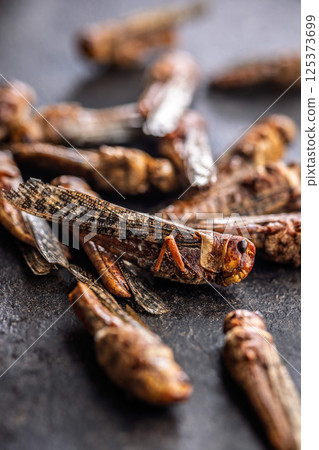Dried salted insect. Rosted grasshoppers on black table. Dried salted insect. Rosted grasshoppers on black table. 125373699