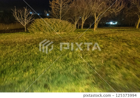 Landscape with meadow at night. Landscape with meadow at night. 125373994