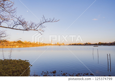 茨城縣千羽湖的夜景 125374799