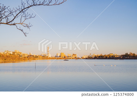Evening view of Lake Senba, Ibaraki 125374800