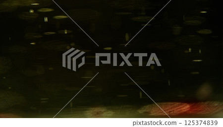 Light glint. Defocused yellow glaring. Multicolor golden sparkling gleaming particles floating on blurred modern abstract background. 125374839