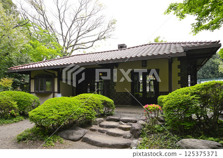 Hakuko Lol Hakuko Lol 125375371