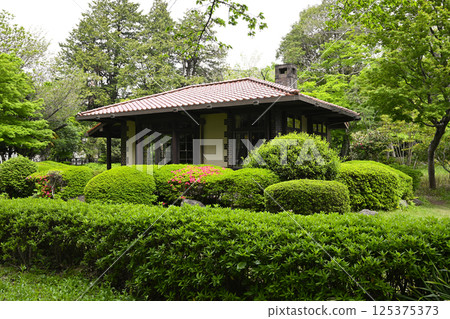 Hakuko Lol Hakuko Lol 125375373