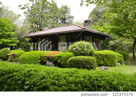 Hakuko Lol Hakuko Lol 125375374