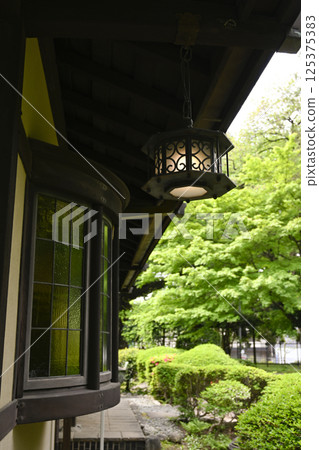 Hakuko Lol Hakuko Lol 125375383