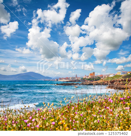 Astonishing spring cityscape of Alghero town at morning. Astonishing spring cityscape of Alghero town at morning. 125375402