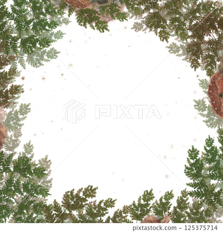 Square frame of green forest fern twigs, hand drawn clipart 125375714