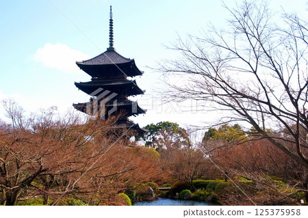 京都府東寺/五層塔(國寶)京都市南區九條町 2022 年 2 月 京都府東寺/五層塔(國寶)京都市南區九條町 2022 年 2 月 125375958