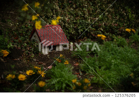 Little red roof house in the forest 125376205