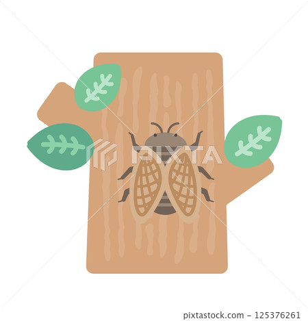 樹上的蟬插畫 樹上的蟬插畫 125376261