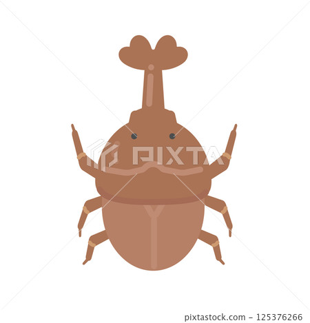Beetle illustration 125376266