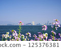 View of Fukuoka city from Nokonoshima in spring 125376381