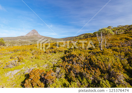 Barn Bluff Morning View in Tasmania Australia Barn Bluff Morning View in Tasmania Australia 125376474