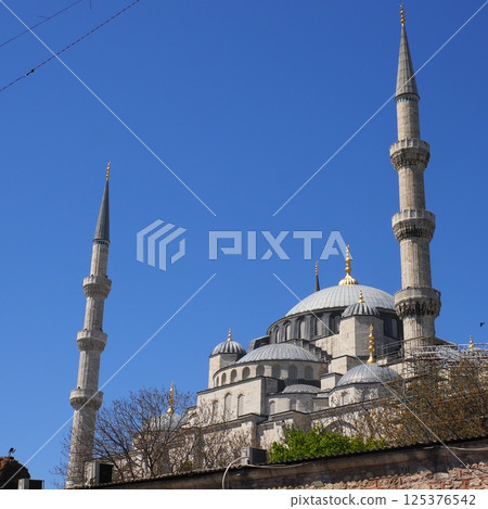 Istanbul Blue Mosque 125376542