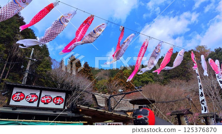 [Yamaguchi Prefecture] Irori Bandit's carp streamer 125376870