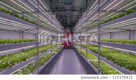 Cutting-edge plant factory - Vegetables of the future grown with robots and LEDs 1 AI-generated image Cutting-edge plant factory - Vegetables of the future grown with robots and LEDs 1 AI-generated image 125376915