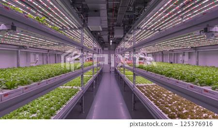 Cutting-edge plant factory - Vegetables of the future grown with robots and LEDs 2 AI-generated images Cutting-edge plant factory - Vegetables of the future grown with robots and LEDs 2 AI-generated images 125376916