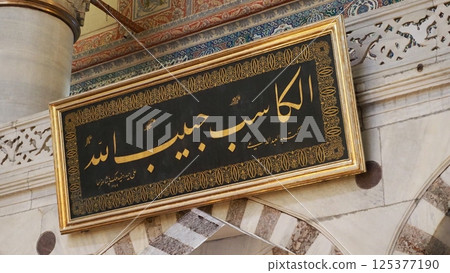 Istanbul Blue Mosque 125377190