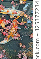 Nishikigoi and autumn leaves 125377234