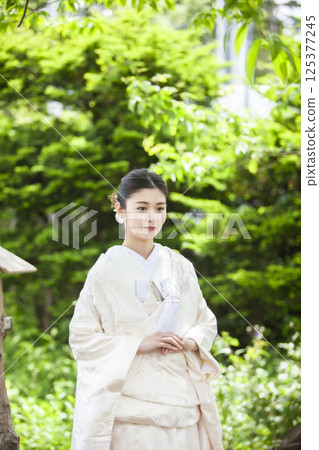 Bride in a pure white kimono Bride in a pure white kimono 125377245
