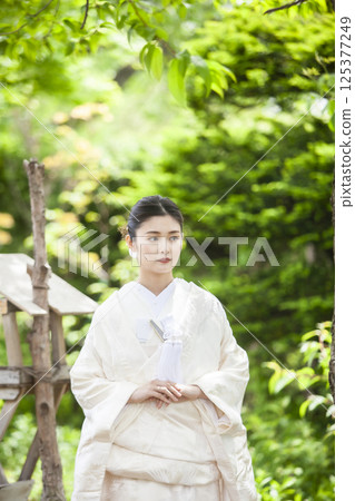 Bride in a pure white kimono Bride in a pure white kimono 125377249