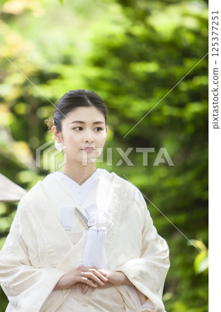 Bride in a pure white kimono Bride in a pure white kimono 125377251