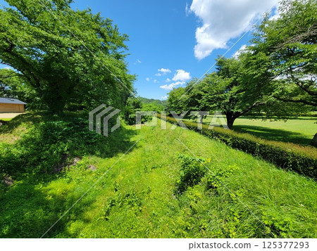 岩手縣九戶城遺址 岩手縣九戶城遺址 125377293