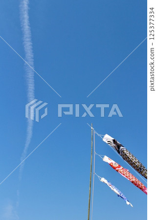 Koi swimming in blue sky 125377334