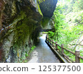 Rock tunnel 125377500