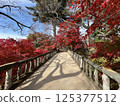 A bridge covered in autumn leaves 125377512