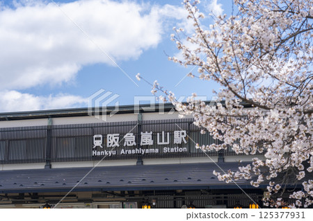 Hankyu Arashiyama Station and cherry blossoms in full bloom 125377931
