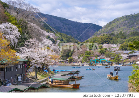 京都嵐山：船屋碼頭和櫻花 125377933