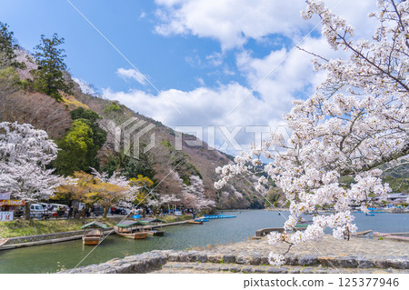 京都嵐山：船屋碼頭和櫻花 125377946