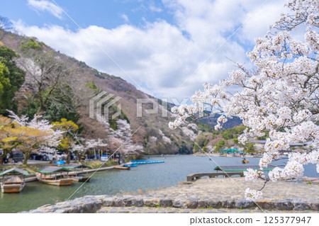 京都嵐山:船屋碼頭和櫻花 京都嵐山:船屋碼頭和櫻花 125377947
