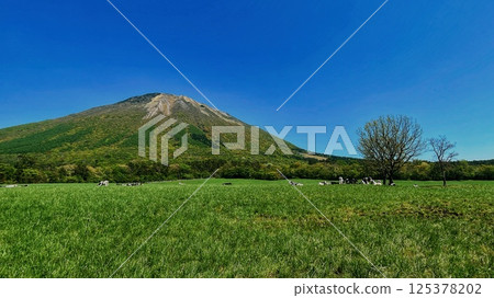 夏季的大山和牧場 夏季的大山和牧場 125378202