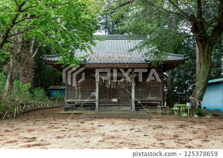 Takehara Shrine, known for the strange Awaawa Gion festival [Omitama City, Ibaraki Prefecture] 125378659