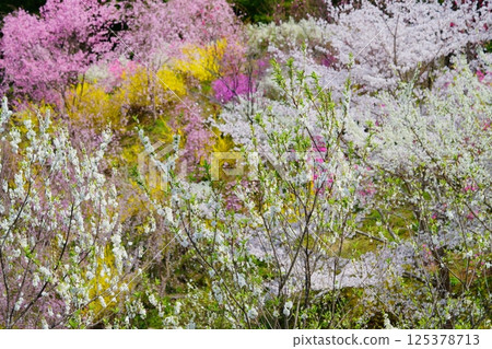 Spring in a utopia-like rural village 4 125378713